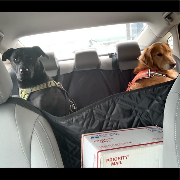 Meet your Posher, Curly and Olive - Picture 7 of 7